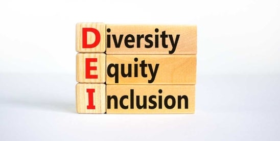 DEI and bullying at the executive level of US government