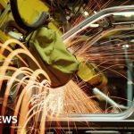 What are tariffs, how do they work and why is Trump using them?