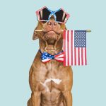 As America celebrates Independence Day, the US economy is powering along