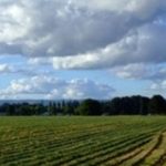 Rural Mainstreet Economic Indicator Remains in Red