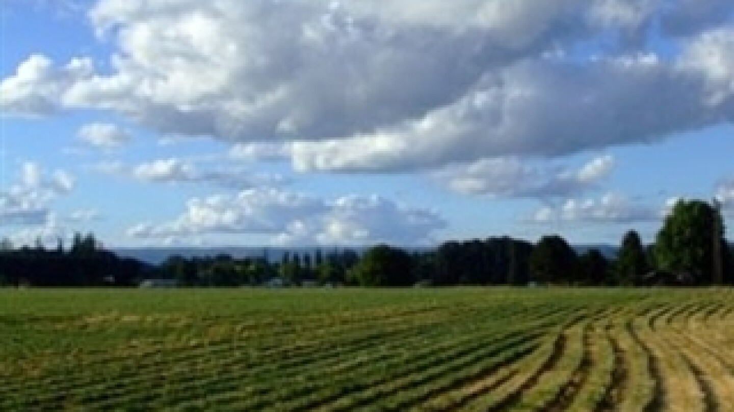 Rural Mainstreet Economic Indicator Remains in Red